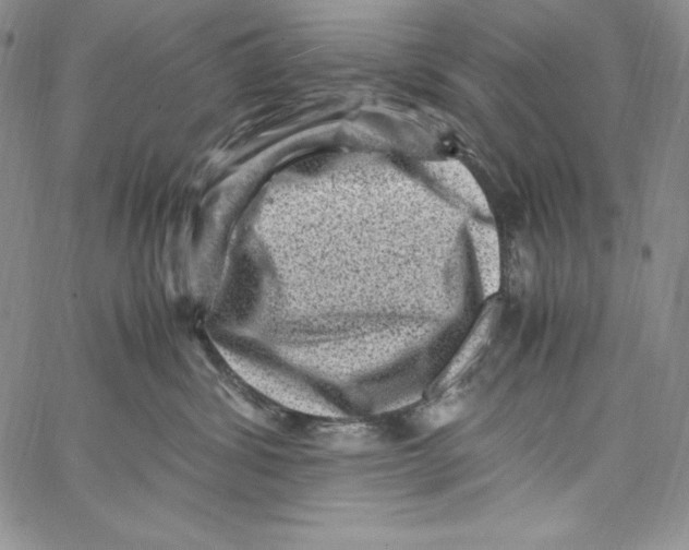 X0000066960428200604211846