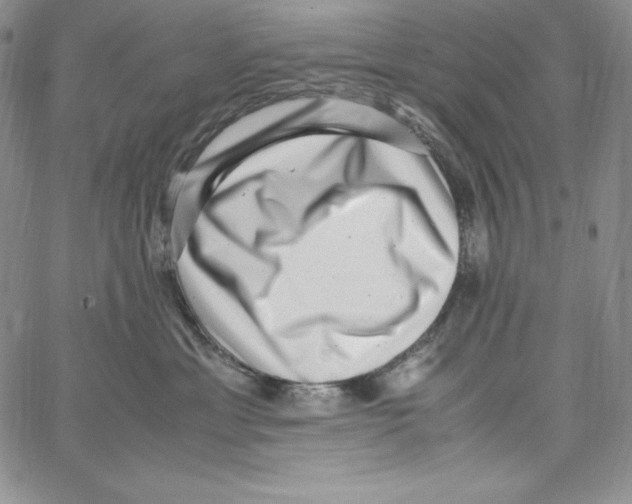 X0000066960429200604211846