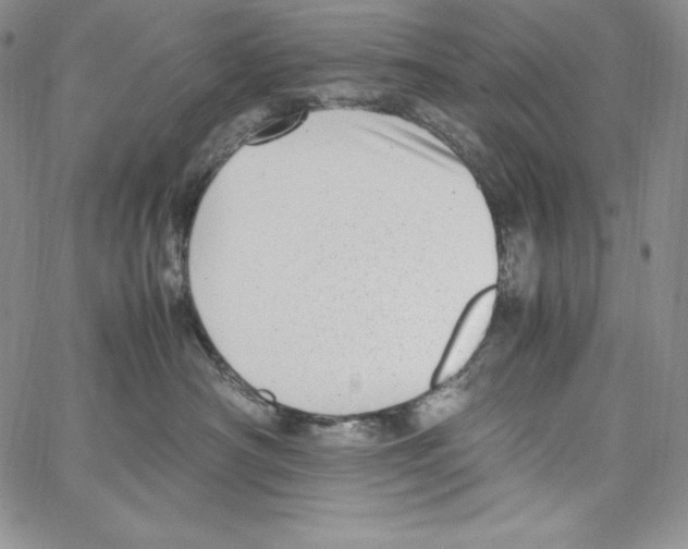 X0000066960430200604211846