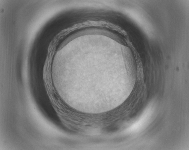 X0000066960431200604211846