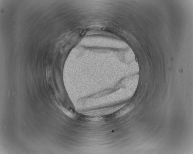 X0000066960432200604211846