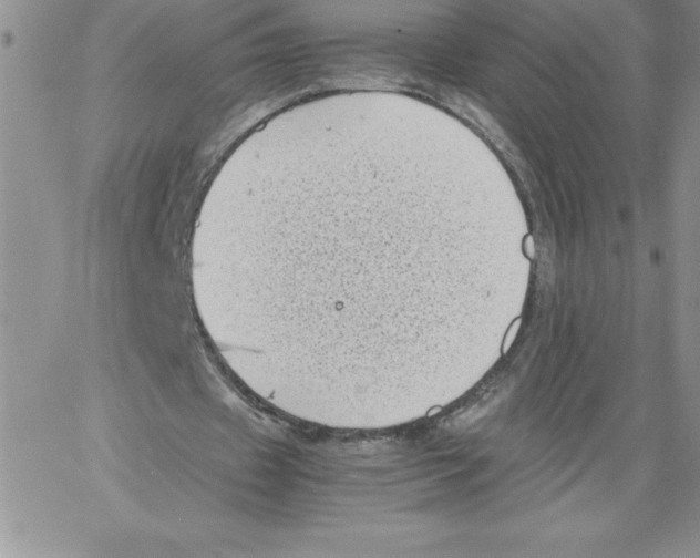 X0000066960433200604211845