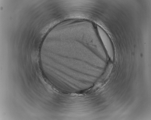 X0000066960434200604211845