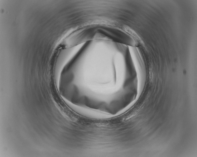 X0000066960436200604211845