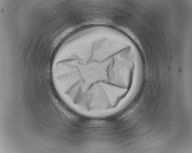 X0000066960437200604211845