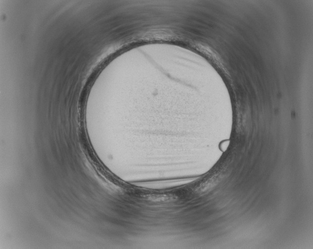 X0000066960439200604211845