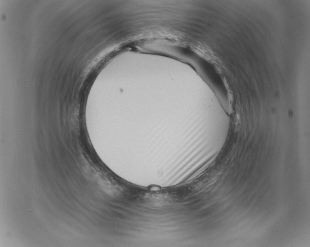 X0000066960440200604211845