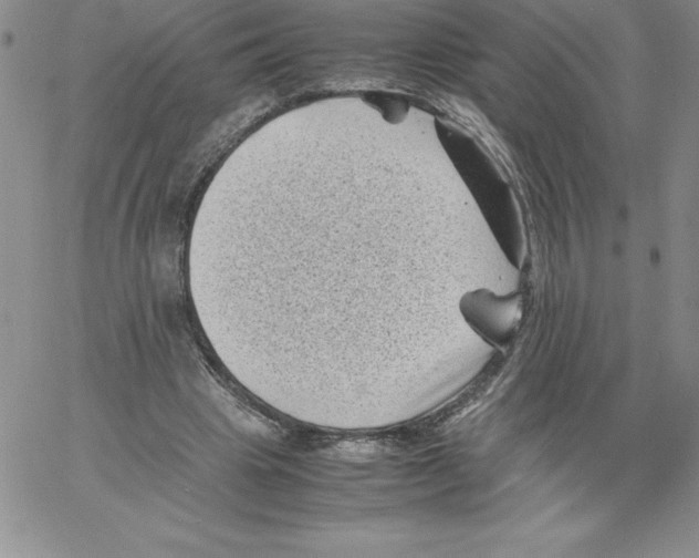 X0000066960441200604211845