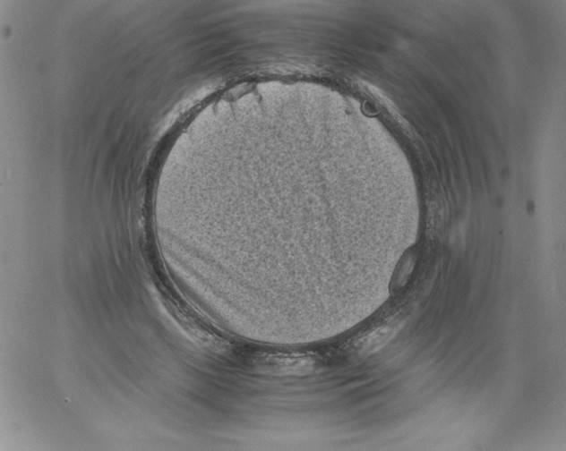 X0000066960443200604211845