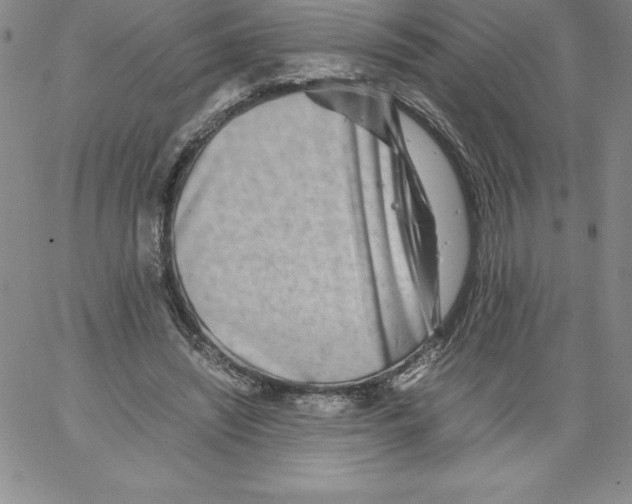 X0000066960444200604211845