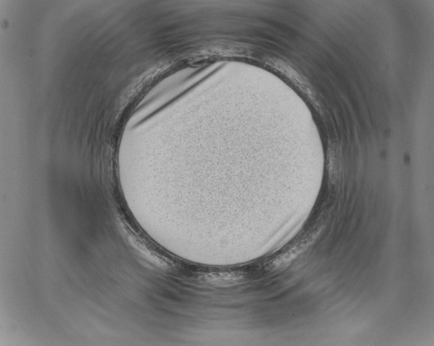 X0000066960445200604211845