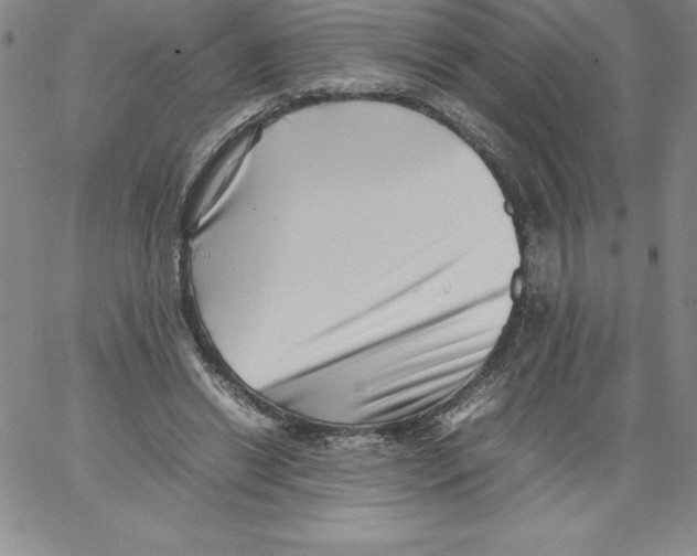 X0000066960446200604211845