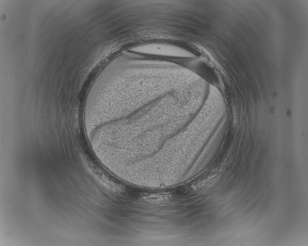 X0000066960447200604211845