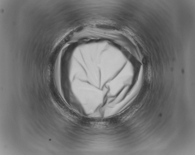 X0000066960448200604211845