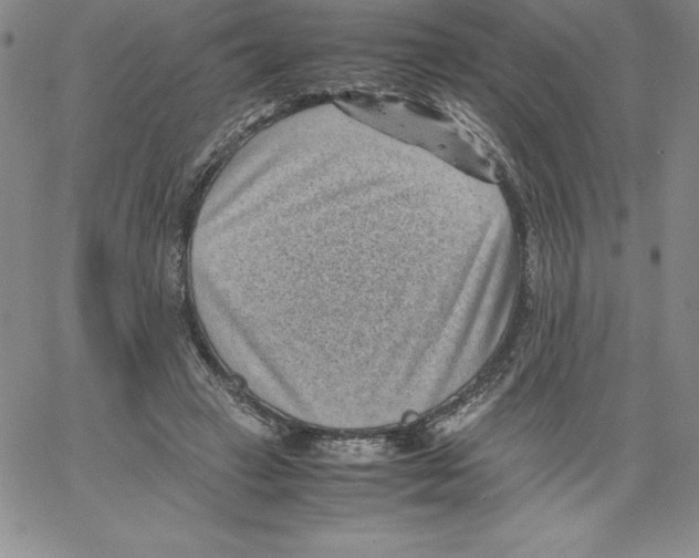 X0000066960449200604211845