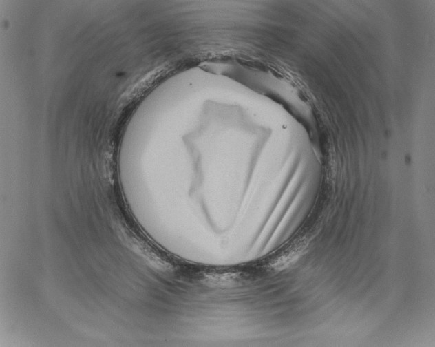 X0000066960450200604211845