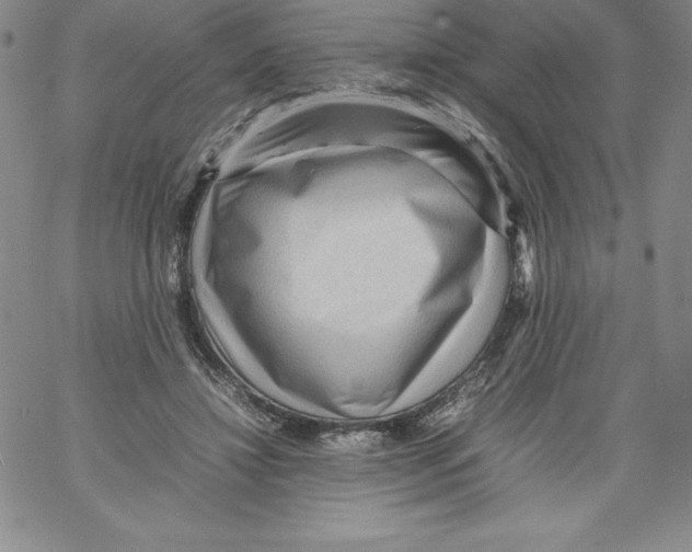 X0000066960452200604211845