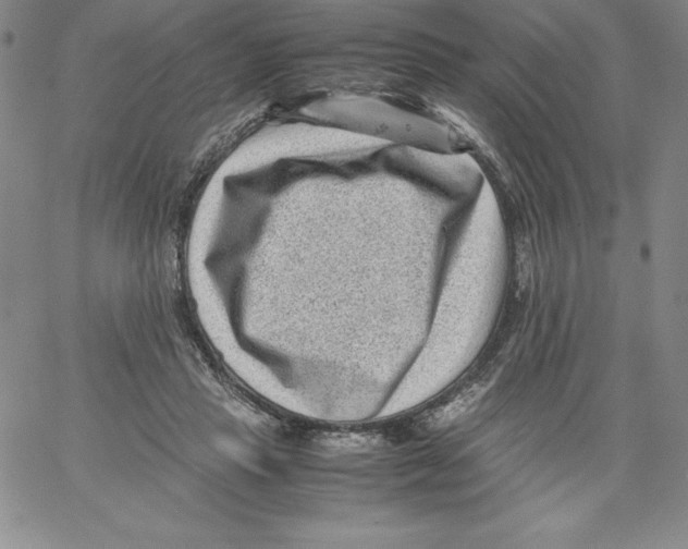 X0000066960453200604211845