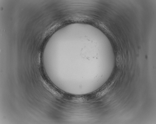 X0000066960454200604211845