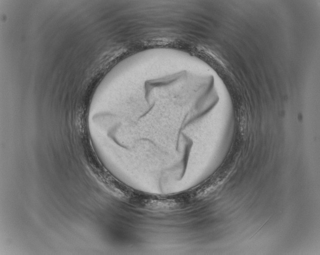 X0000066960455200604211845