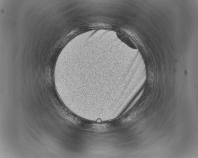 X0000066960457200604211845