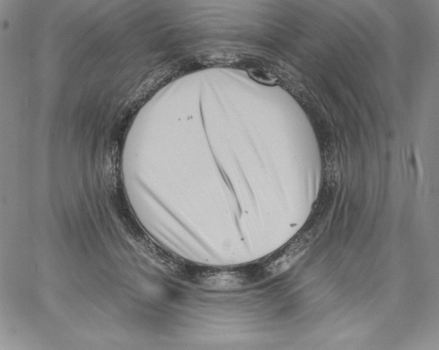 X0000066960460200604211845