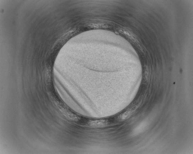 X0000066960461200604211845