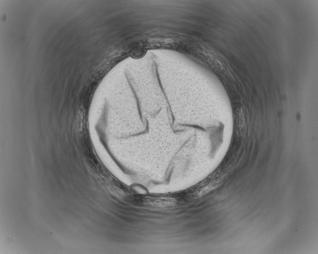 X0000066960463200604211846