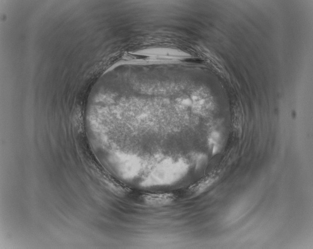 X0000066960465200604211846