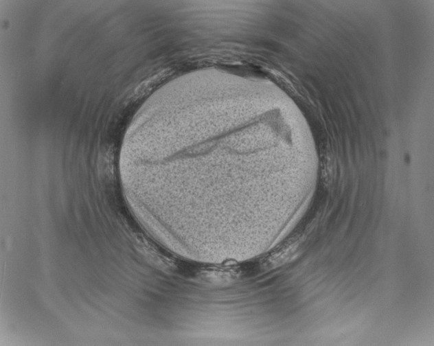 X0000066960466200604211846