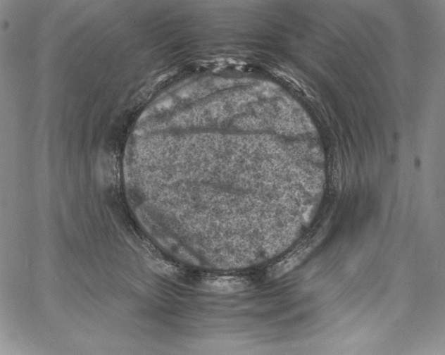 X0000066960467200604211846