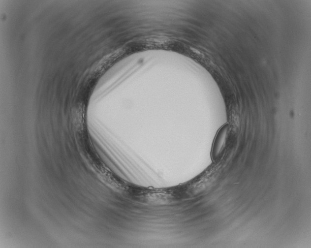 X0000066960468200604211846