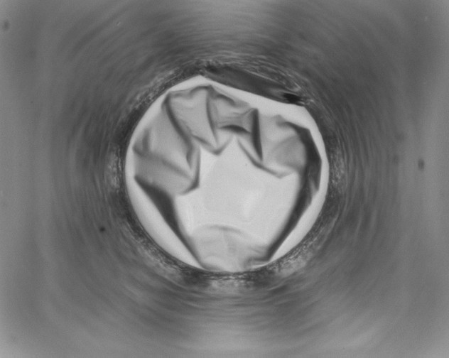 X0000066960470200604211846