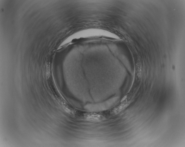 X0000066960471200604211846