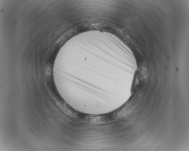 X0000066960472200604211846