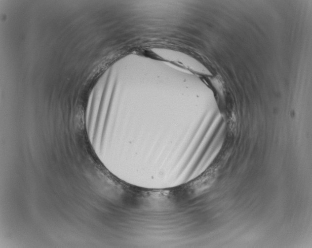 X0000066960474200604211846