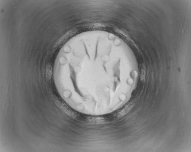 X0000066960476200604211846