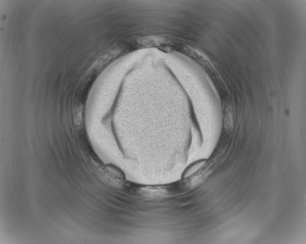 X0000066960477200604211846