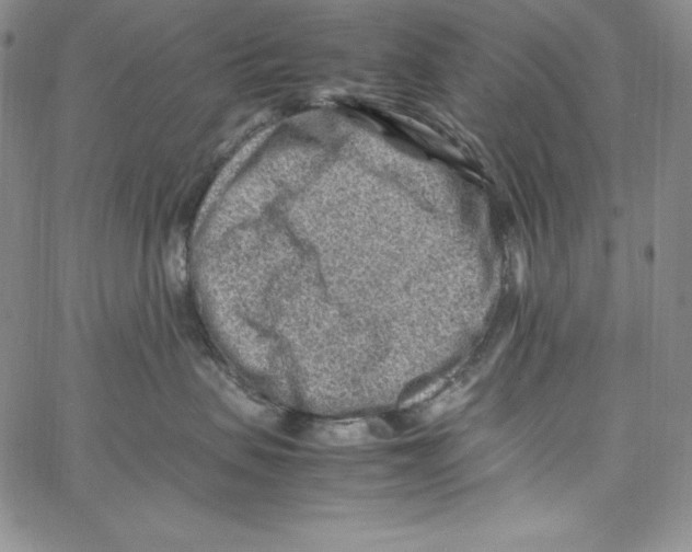 X0000066960479200604211846