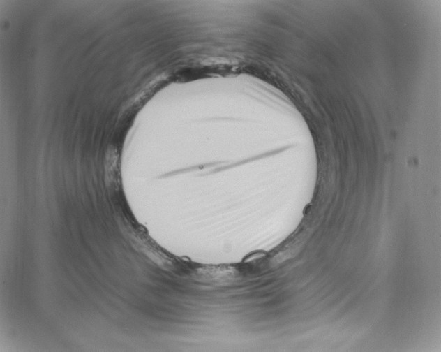 X0000066960480200604211846