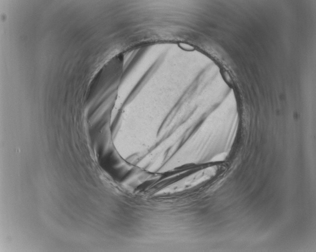 X0000066960481200604211845