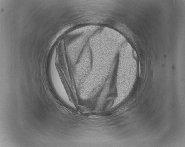 X0000066960483200604211845