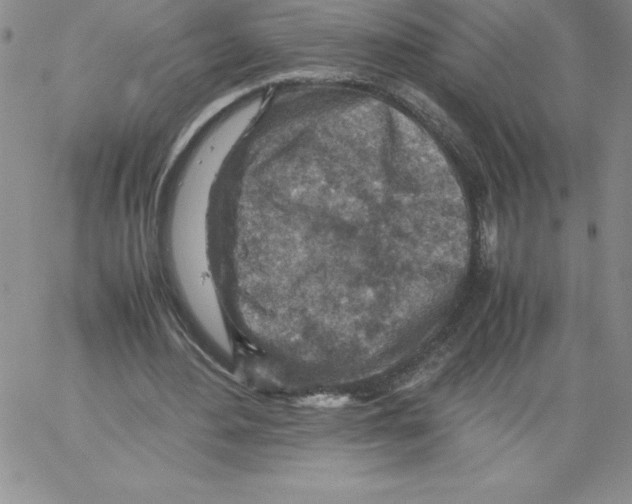 X0000066960484200604211845