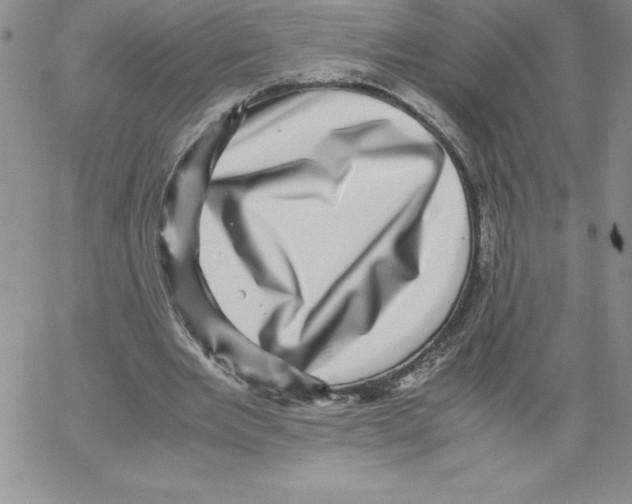 X0000066960485200604211845