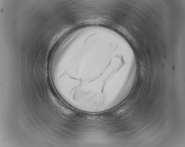 X0000066960486200604211845