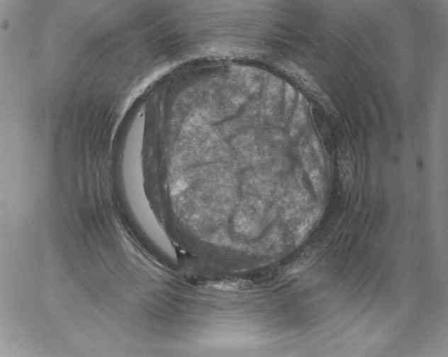 X0000066960488200604211845