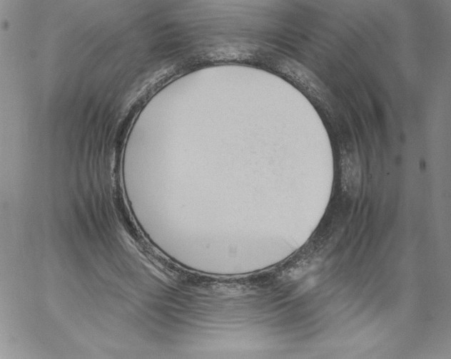 X0000066960490200604211845