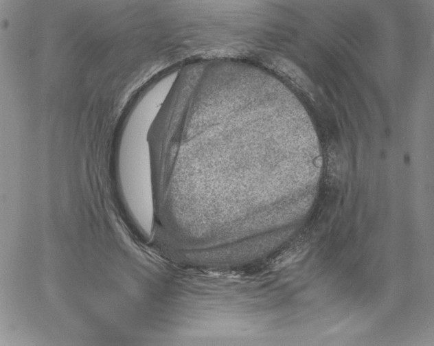 X0000066960491200604211845