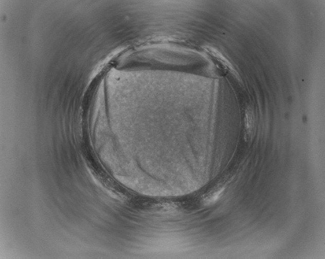 X0000066960492200604211845