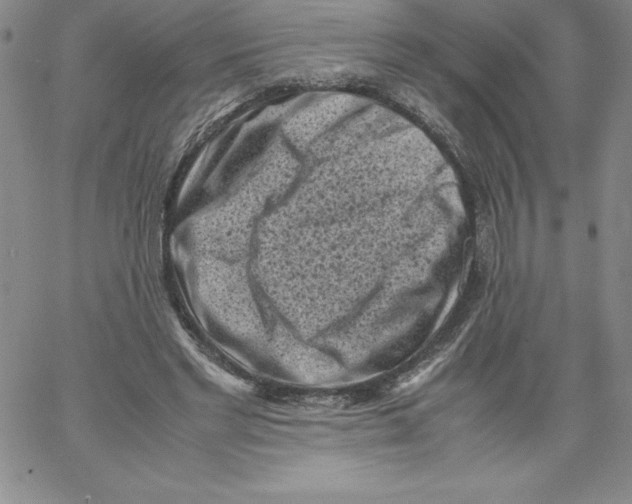 X0000066960493200604211845